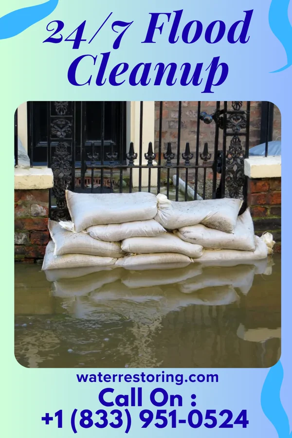 24/7 Flood Cleanup in New Burnside, IL