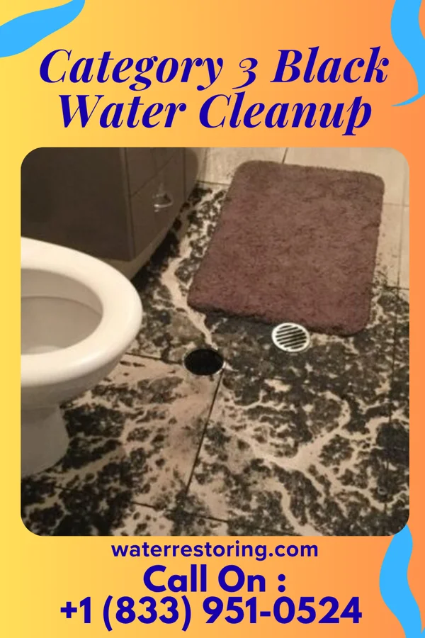 Category 3 Black Water Cleanup in New Burnside, IL