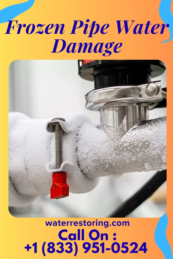 Frozen Pipe Water Damage in New Burnside, IL