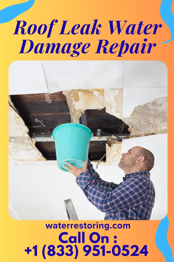 Roof Leak Water Damage Repair in New Burnside, IL