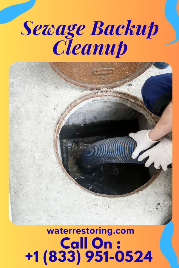 Sewage Backup Cleanup in New Burnside, IL