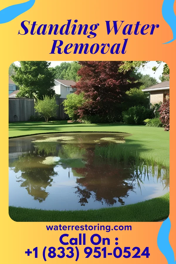 Standing Water Removal in New Burnside, IL